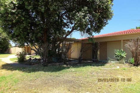 Property photo of 247 Eddystone Avenue Beldon WA 6027