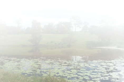 210 Smiths Creek Rd, Smiths Creek, NSW 2474