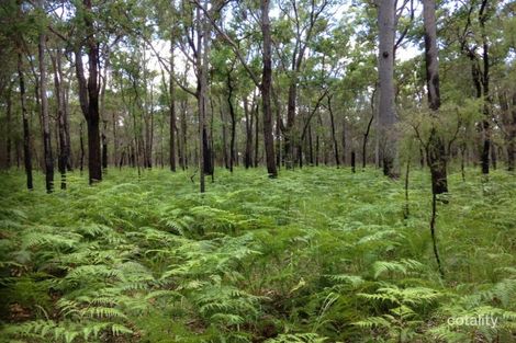 Property photo of 559 Meyers Road Ramornie NSW 2460