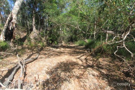 Property photo of 291 Pace Road Rollingstone QLD 4816