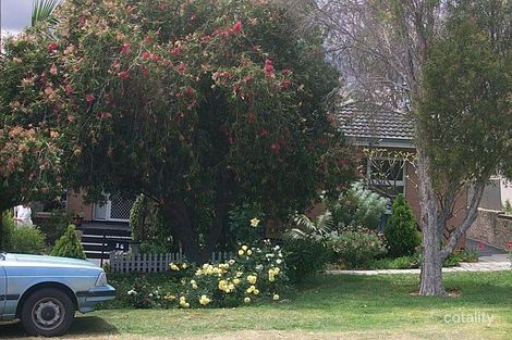 36 Muir St, Innaloo, WA 6018