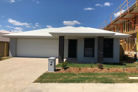 8 Dubai Cct, Spring Mountain, QLD 4300