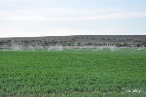 209 Segenhoe Rd, Segenhoe, NSW 2337