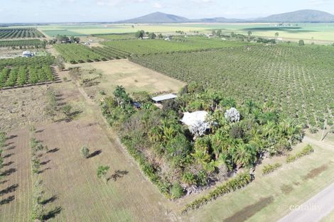 Property photo of 31 Mango Avenue Horseshoe Lagoon QLD 4809