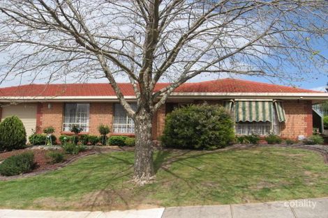 20 Houston Ct, Wynn Vale, SA 5127