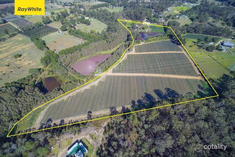 480 Newlands Rd, Wamuran, QLD 4512