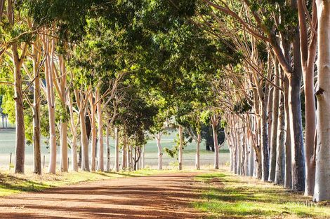 7 Cycad Cres, Wundowie, WA 6560