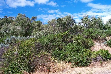 4 Gwenydd Way, Peppermint Grove Beach, WA 6271