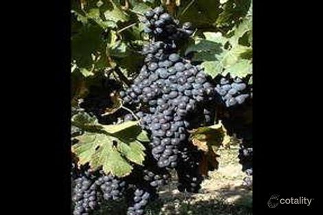 5380 West Swan Rd, West Swan, WA 6055