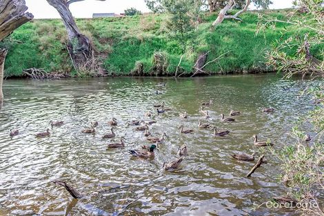 Property photo of 3 Outlook Drive Werribee VIC 3030