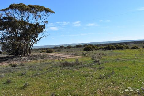 436 Dry Weather Rd, Sedan, SA 5353