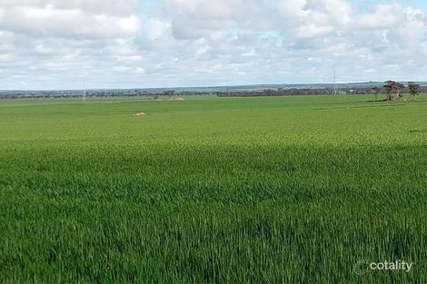 341 De Gruchy Rd, Kondinin, WA 6367