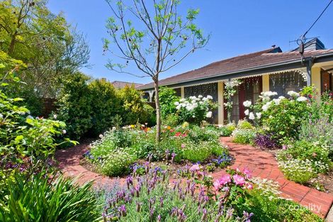 Property photo of 20B Sandford Street Kensington Gardens SA 5068