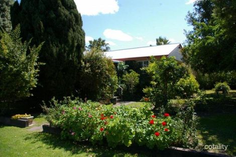 Property photo of 7 Campbell Street Goondiwindi QLD 4390