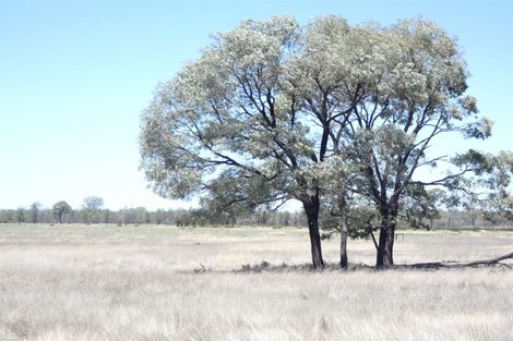Property photo of 946 Tara-Kogan Road Tara QLD 4421
