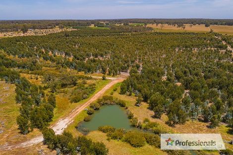 512 Tanah Marah Rd, Bramley, WA 6285