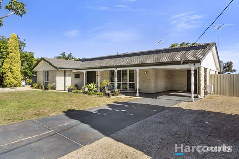 Property photo of 31 Nolyang Crescent Wanneroo WA 6065