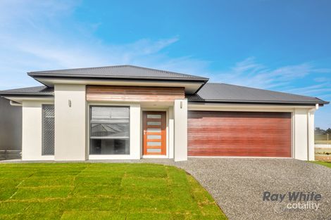 49 Splendid Pde, Narangba, QLD 4504