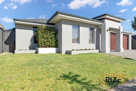 7 Manyleaf Link, Banksia Grove, WA 6031