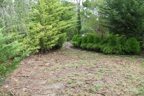 Property photo of 5 Kerria Place Crafers West SA 5152