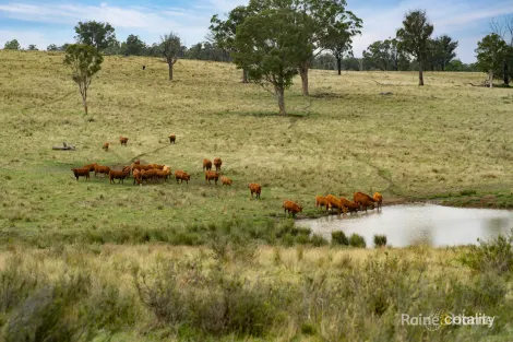 733 Niangala Rd, Woolbrook, NSW 2354
