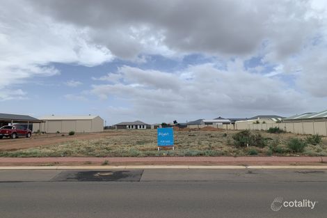 Property photo of 54 Pelham Road Risdon Park South SA 5540
