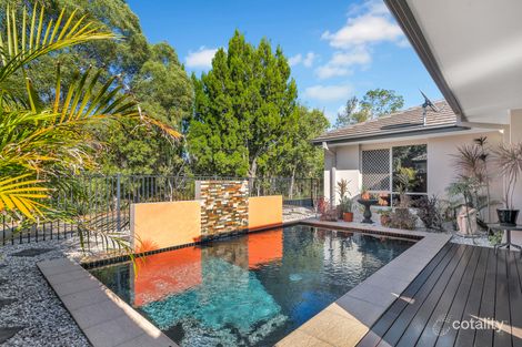 Property photo of 3 Treefrog Street Ningi QLD 4511