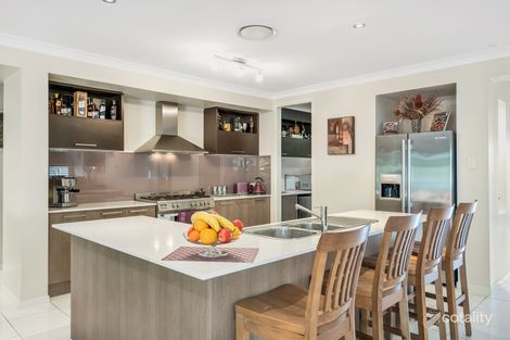 Property photo of 3 Treefrog Street Ningi QLD 4511