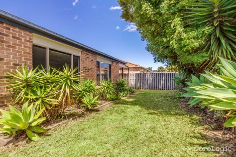 Property photo of 8 Fairbank Court Merrimac QLD 4226