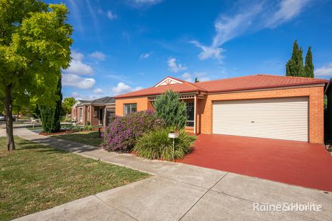 Property photo of 17 Higgs Circuit Sunbury VIC 3429