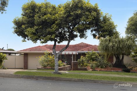 Property photo of 61 Hawbridge Street Carseldine QLD 4034