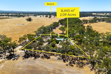 Property photo of 195 Wolfs Lane Avoca VIC 3467