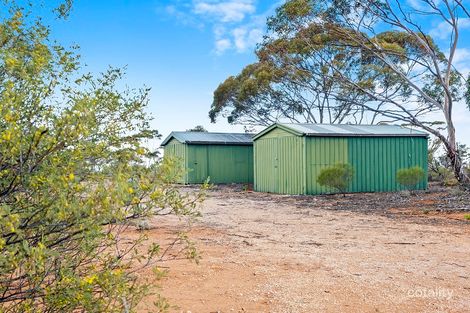 38 Petters Rd, Morgan, SA 5320