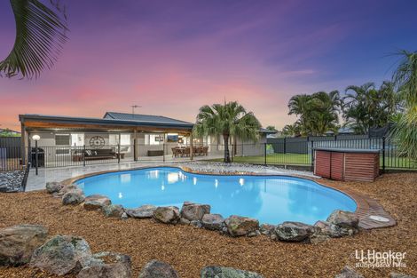 Property photo of 12 Gulubia Place Calamvale QLD 4116