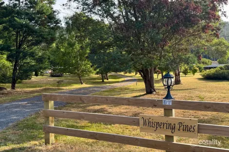 37 Union Bridge Rd, Mole Creek, TAS 7304