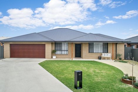 Property photo of 14 Angus Place Calala NSW 2340