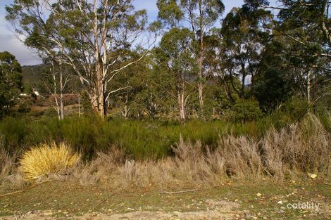 19 Baker St, Rossarden, TAS 7213