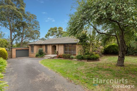 Property photo of 16 Lemal Avenue Boronia VIC 3155