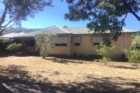 Property photo of 53 Macquarie Street North Tamworth NSW 2340