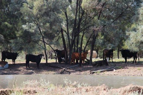 North Bangalow Rd, Kindon, QLD 4390