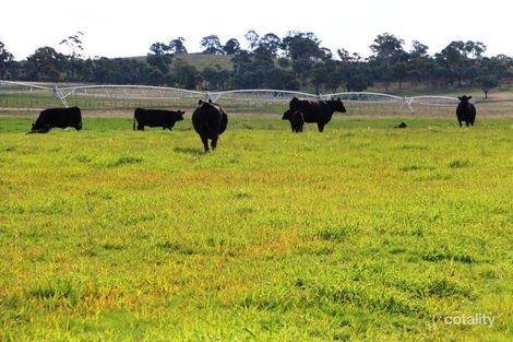 1735 Old Armidale Rd, Guyra, NSW 2365