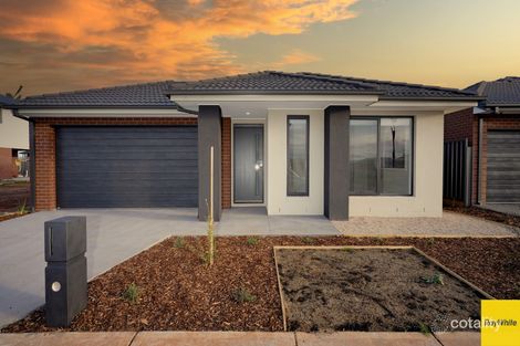 7 Ivory St, Cobblebank, VIC 3338