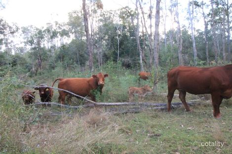 249 Stronachs Rd, Wallaville, QLD 4671