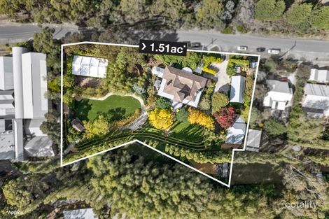 410 Larter St, Golden Point, VIC 3350