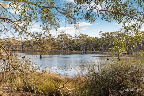 535 Thompsons Bridge Rd, Gunbower, VIC 3566