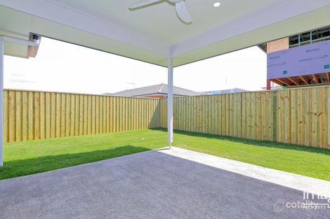 51 Apollo St, Newport, QLD 4020