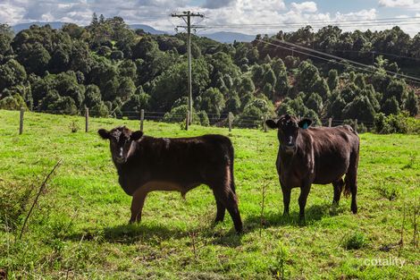 Property photo of 186 St Helena Road McLeods Shoot NSW 2479
