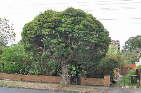 12 Kambrook Rd, Caulfield North, VIC 3161