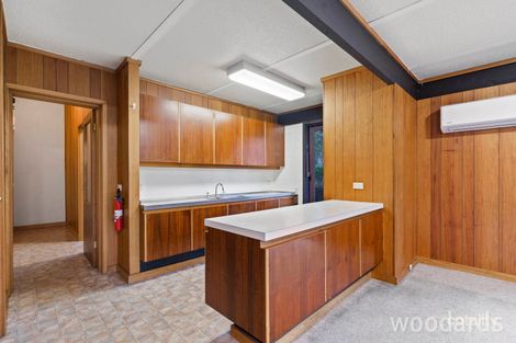 Property photo of 35 Pine Avenue Camberwell VIC 3124