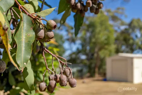 Property photo of 220 White Beach Road White Beach TAS 7184